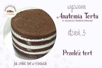 Anatomia tortu - jak przełożyć tort